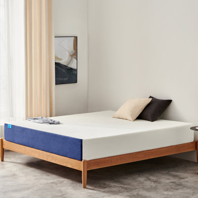 Alwyn Home Shanitaortia 14" Firm Gel Memory Foam Mattress by Alwyn Home