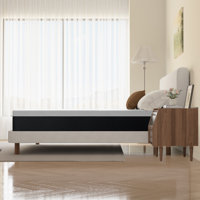 Alwyn Home Winchendon Medium-Firm Gel Memory Foam Mattress - High-Density Support, Motion Isolation & Removable Cover by Alwyn Home