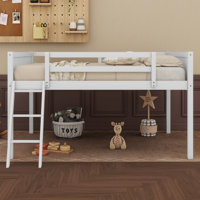 Anxhela Panel Bed by 17 Stories