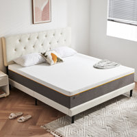 Alwyn Home Avent 10 inch foldable foam mattress, medium firmness by Alwyn Home