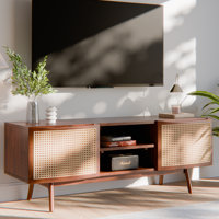Arnitra Solid Wood TV Stand for TVs up to 57.95"