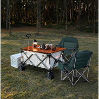 Sravani Folding Camping Chair