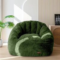 Bean Bag Chair by Everly Quinn
