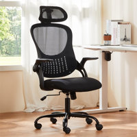 Riegelsville Mesh Office Task Chair with Headrest by Dovecove