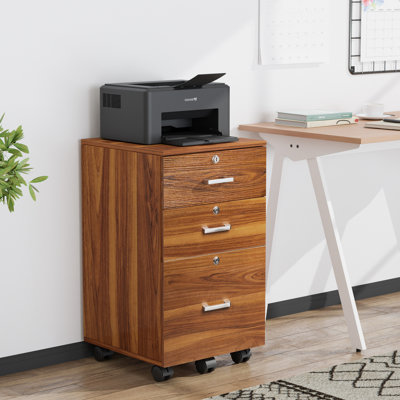 Marfriede 3-Drawer Vertical Filing Cabinet by Inbox Zero
