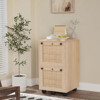 Aristeidis 2-Drawer Mobile Vertical Filing Cabinet by Bay Isle Home