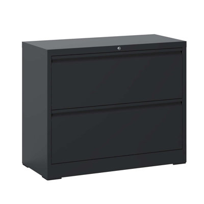Esden Lockable Metal File Cabinet with 2 Drawer, for Home, Office by Ivy Bronx