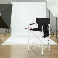 Folding Director Chair by Arlmont & Co.