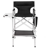 Tairon Folding Director Chair by Arlmont & Co.