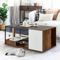 Eujin Coffee Table, 2-in-1 Design by Tucker Murphy Pet
