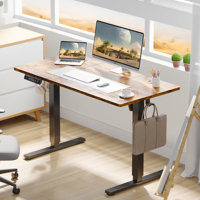 Koree Standing & Height-Adjustable Desks by Inbox Zero