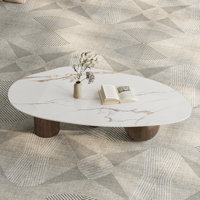 Laylla Modern 54" Coffee Table, White Sintered Stone Table-top, 3 Stainless Steel legs, Free form by Orren Ellis