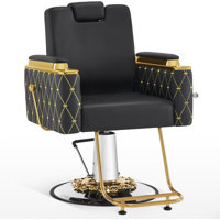 Inbox Zero Luxurious Barber Chair with Hydraulic Pump, Adjustable Reclining Salon Chair 8623 by Inbox Zero
