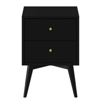 Century Modern Wood 2 Drawer Nightstand by Corrigan Studio