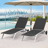 Vertia Outdoor Chaise Lounge by Ebern Designs