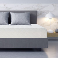L’Baiet Gel Memory Foam Mattress by Alwyn Home