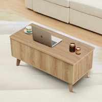 Saltash Lift Top Coffee Table with Storage by George Oliver