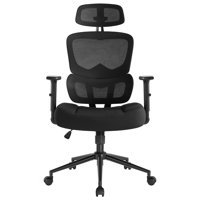 Melynie Mesh Office Chair with Headrest by Inbox Zero