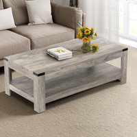 Damika Rectangular Coffee Table with 2-Tier Storage by Millwood Pines