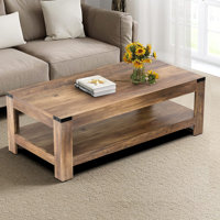 Damika Rectangular Coffee Table with 2-Tier Storage by Millwood Pines