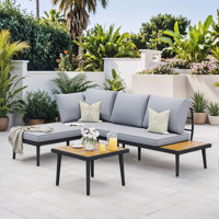 3 - Person Outdoor Seating Group with Cushions by Ebern Designs