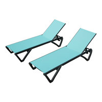 2 Piece Outdoor Chaise Lounge Set by Ebern Designs