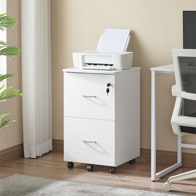 2-Drawer File Cabinet, 16.9