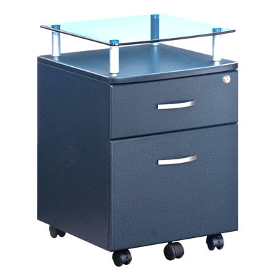Djordi 2 -Drawer File Cabinet by Arlmont & Co.