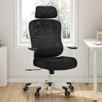 Mazlack Ergonomic Mesh Office Chair with 6D Headrest, Adjustable Lumbar, Flip-up Arms by Inbox Zero