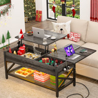 Bagga Single Lift Top Coffee Table with Storage, Cocktail Table by Wrought Studio