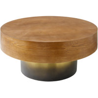 Shatay Modern Coffee Table by Hokku Designs