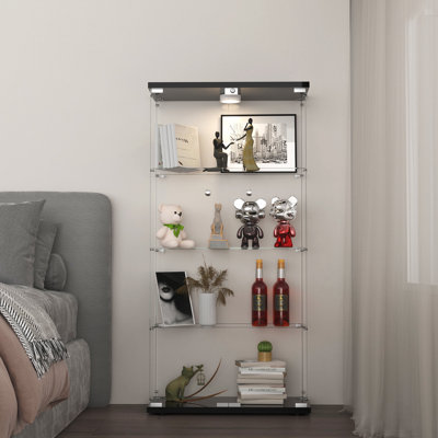 Dedorah Glass Display Cabinet, Curio Storage Cabinet with Door and LED Light by Wrought Studio