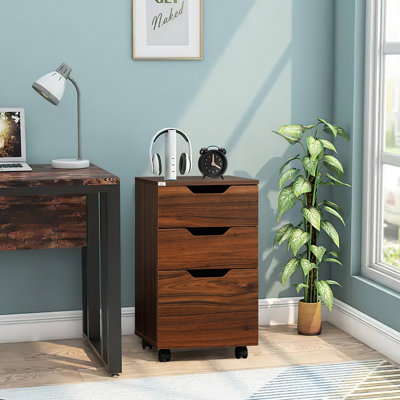 Cesaro 3 Drawer Storage Drawer by Latitude Run