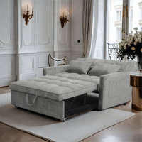 3 In 1 Convertible Sleeper Sofa Bed, Modern Peacock Velvet Fabric Futon Sofa Couch Pullout Bed, Adjustable Backrest With Three USB Ports, Two Side Poc by Latitude Run