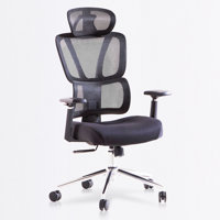 Office Chair With Adjustable Lumbar Support, Tilt Lock, 3D Armrests