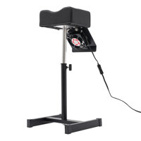 Lakizzy Manicure Stool with Vacuum Professional Pedicure Chair by Wrought Studio