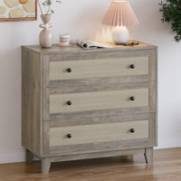Ashari Rattan 3 Drawer Dresser, Chest of Dressers,Boho Wood Modern Dresser Drawer Chest with Wood Handles by Bay Isle Home
