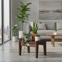 Amneet Solid Wood Accent Stool by Ophelia & Co.