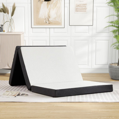Alwyn Home Pelluru Two-Sided 3