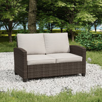 Thavy 49.6" Wicker Outdoor Loveseat with Cushions