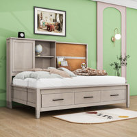 Hailyn Twin Size Daybed with Storage Shelves,USB Ports and Drawers
