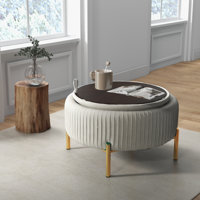 Chynna Upholstered Round Storage Ottoman by Everly Quinn