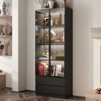 Display Cabinet With Adjustable Lights And Tempered Glass Door by Wrought Studio