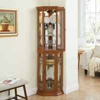 Corner Display With Adjustable Glass Shelf Shelving, Glass Door by Winston Porter