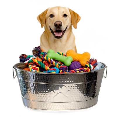 Chew-Proof Metal Dog Toy Bin
