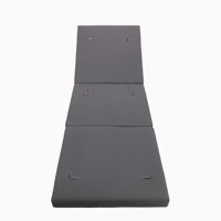 Three Folds Chaise Lounge Cushion Only by Hokku Designs