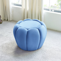 Upholstered Ottoman with Storage Velvet Vanity Stool for Living Room by Mercer41