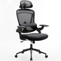 Ergonomic Office Chair with Adjustable Headrest and Armrests by Inbox Zero