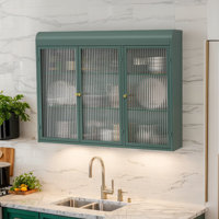 Wall Mounted Cabinet With Glass Doors by Latitude Run