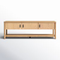 Kaplan 3-Door TV Stand by Joss & Main